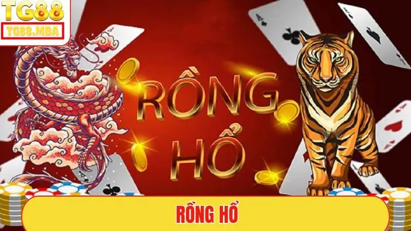 rồng hổ